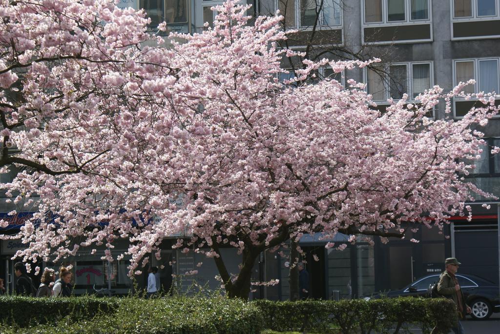 Bahn-Hotel Düsseldorf Zewnętrze zdjęcie